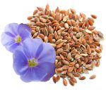 Полезные свойства семян льна и льняного масла