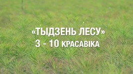 Рэспубліканская добраахвотная акцыя «Тыдзень лесу»